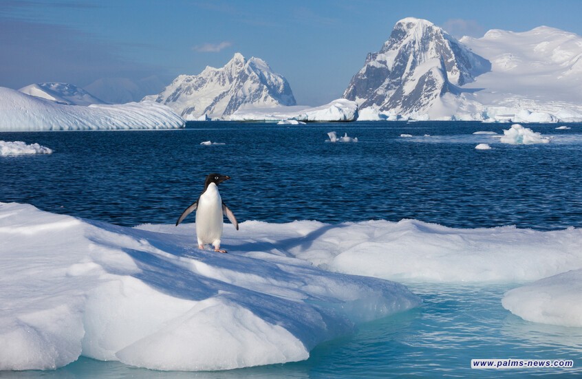 ظاهرة غريبة في أنتاركتيكا تحير العلماء!